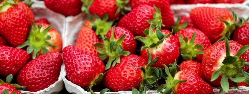 boer-coesfeld-leckere-rezepte-erdbeeren